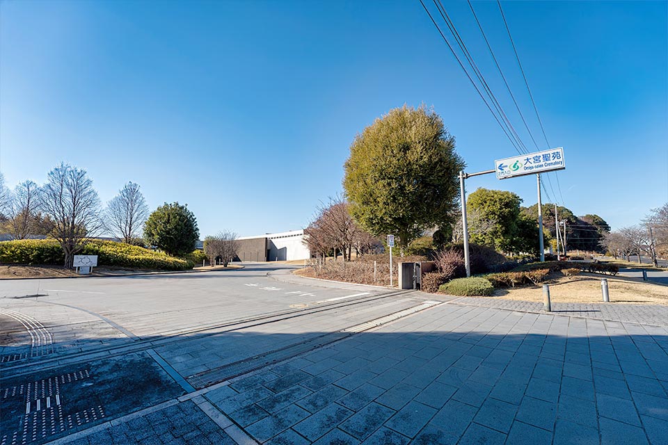 大きな木と案内標識がある道路脇の施設入口